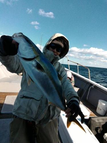 ファイヤードルフィン 釣果