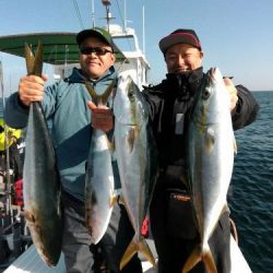 ファイヤードルフィン 釣果