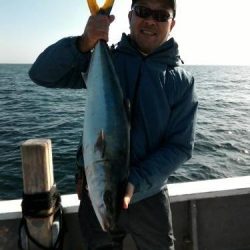 ファイヤードルフィン 釣果