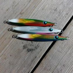 ファイヤードルフィン 釣果