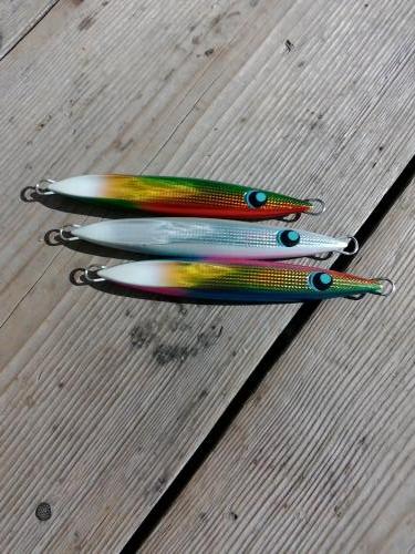 ファイヤードルフィン 釣果