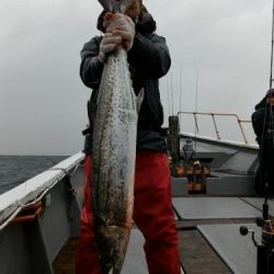 ファイヤードルフィン 釣果