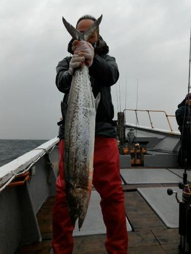 ファイヤードルフィン 釣果