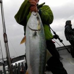 ファイヤードルフィン 釣果