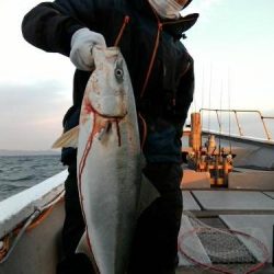 ファイヤードルフィン 釣果