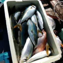 ファイヤードルフィン 釣果