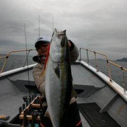 ファイヤードルフィン 釣果