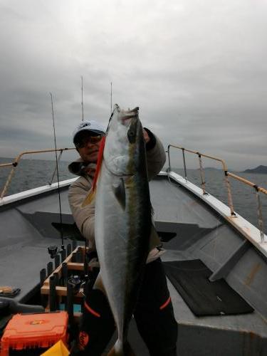 ファイヤードルフィン 釣果