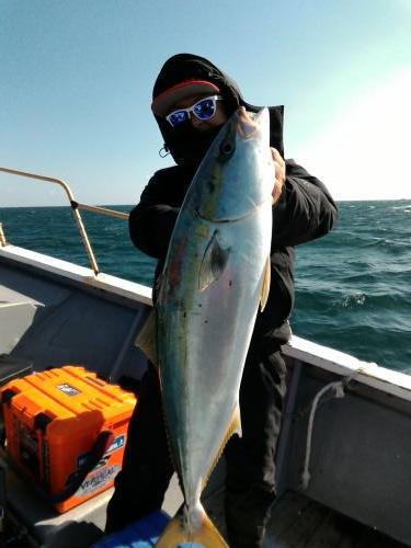 ファイヤードルフィン 釣果