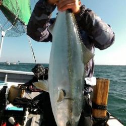 ファイヤードルフィン 釣果