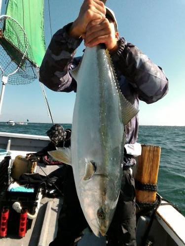 ファイヤードルフィン 釣果