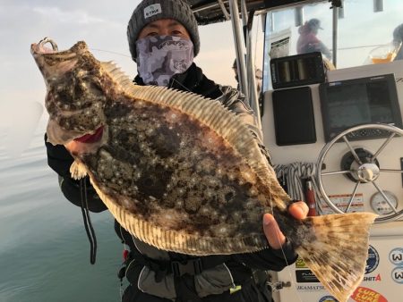 Magic（マジック） 釣果