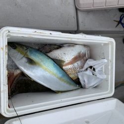 第八大安丸 釣果