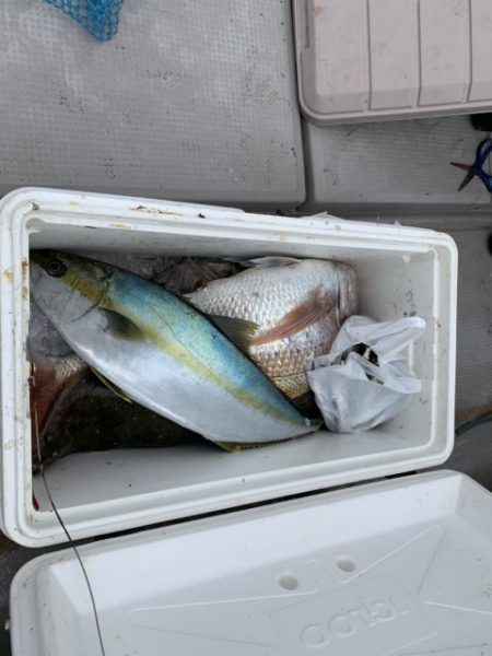 第八大安丸 釣果