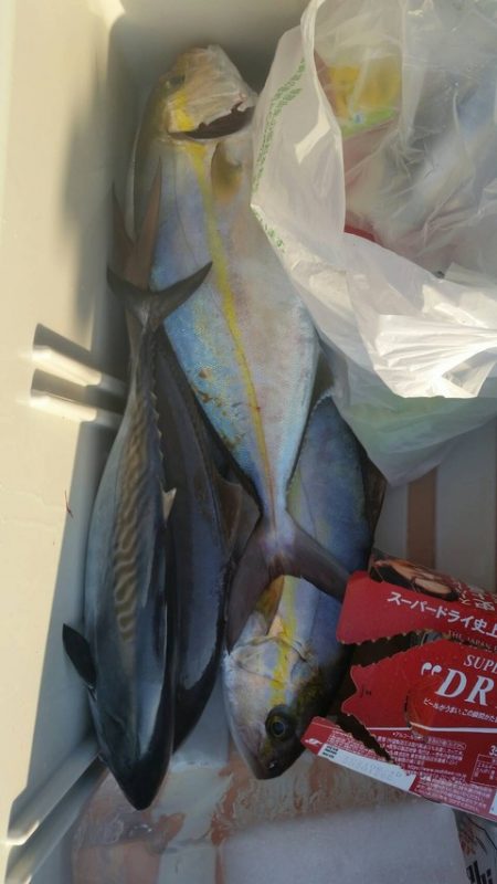 第五慶門丸 釣果