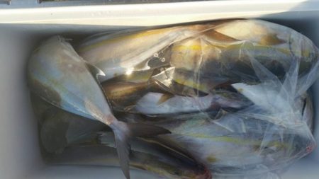 第五慶門丸 釣果