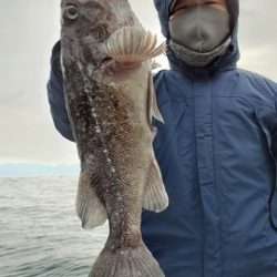 遊漁船 ニライカナイ 釣果