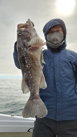 遊漁船 ニライカナイ 釣果