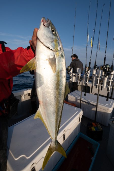 まるいち丸 ZERO-1 釣果
