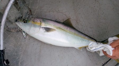 弘福丸 釣果