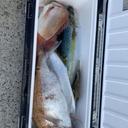 第八大安丸 釣果