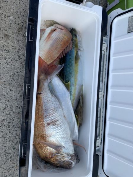 第八大安丸 釣果