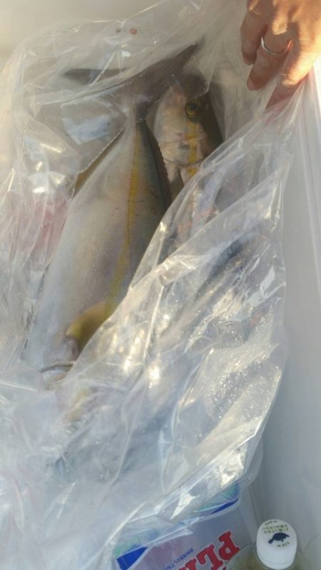 第五慶門丸 釣果