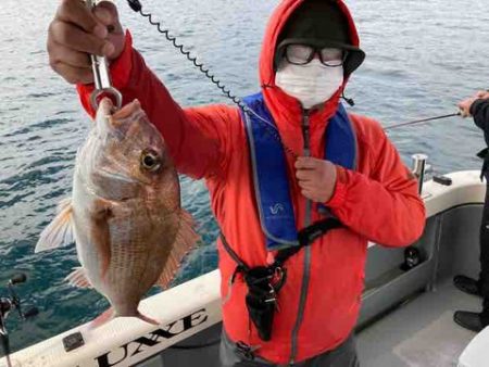 遊漁船 セトマリン 釣果