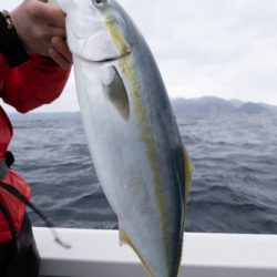 まるいち丸 ZERO-1 釣果