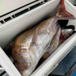 遊漁船 セトマリン 釣果