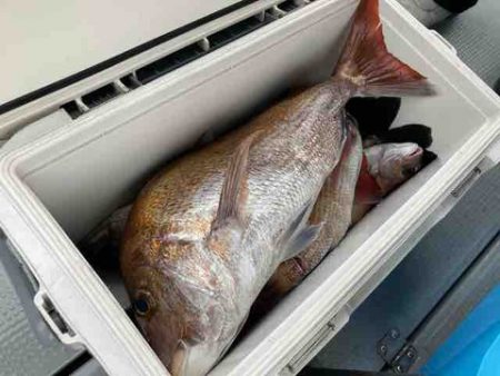 遊漁船 セトマリン 釣果