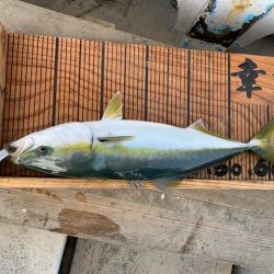 幸吉丸 釣果