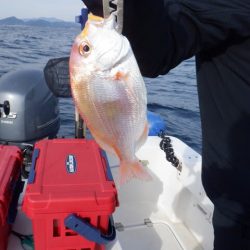 開進丸 釣果
