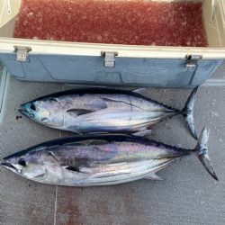 へいみつ丸 釣果