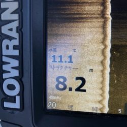 Magic（マジック） 釣果