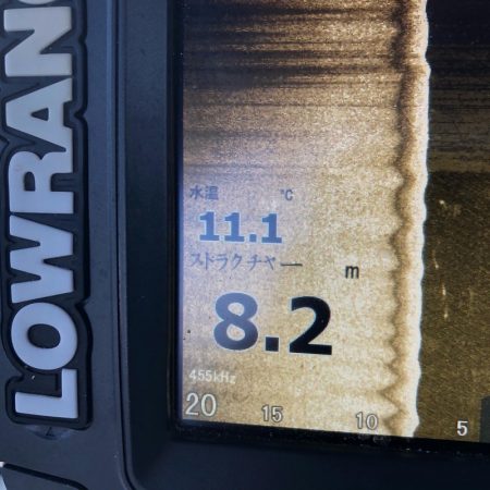 Magic（マジック） 釣果