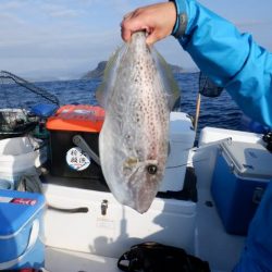 開進丸 釣果