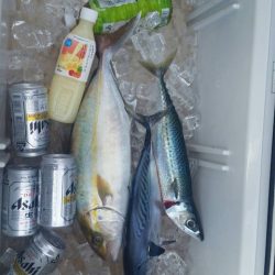 第五慶門丸 釣果