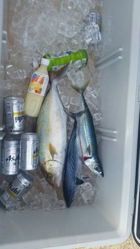 第五慶門丸 釣果