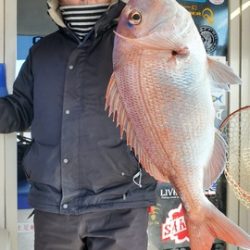 遊漁船　ニライカナイ 釣果