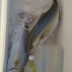 第五慶門丸 釣果