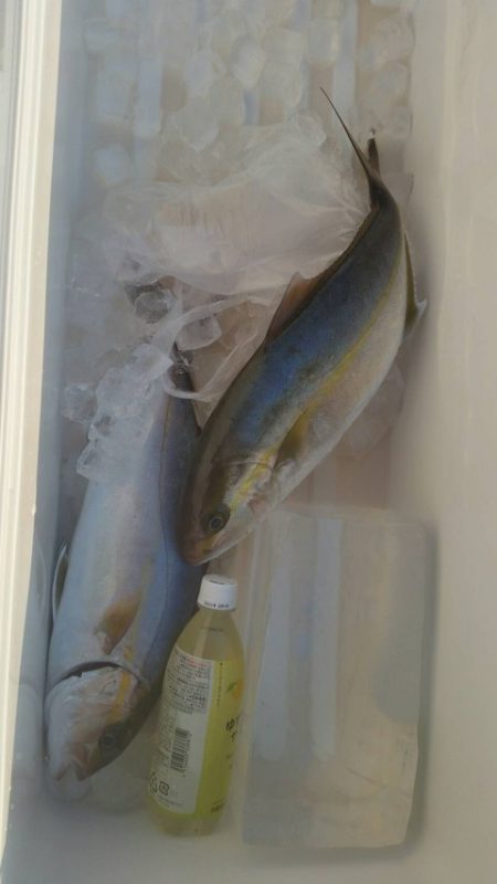 第五慶門丸 釣果