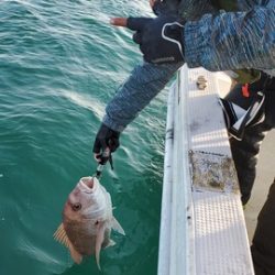 遊漁船　ニライカナイ 釣果