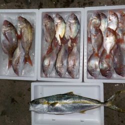 第二むつ漁丸 釣果