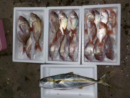 第二むつ漁丸 釣果