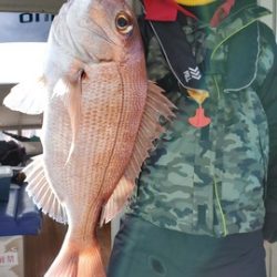 遊漁船 ニライカナイ 釣果