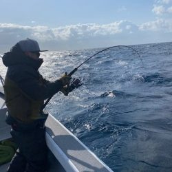 へいみつ丸 釣果