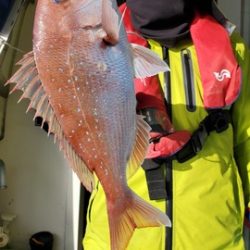 遊漁船 ニライカナイ 釣果