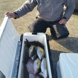 第五慶門丸 釣果