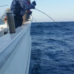 第五慶門丸 釣果